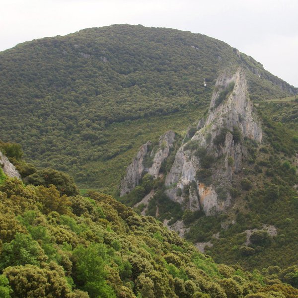 Oiakarizketa eta Peña Txikita