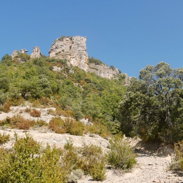 Behe aldetik ikusita, Cerradako bidetik