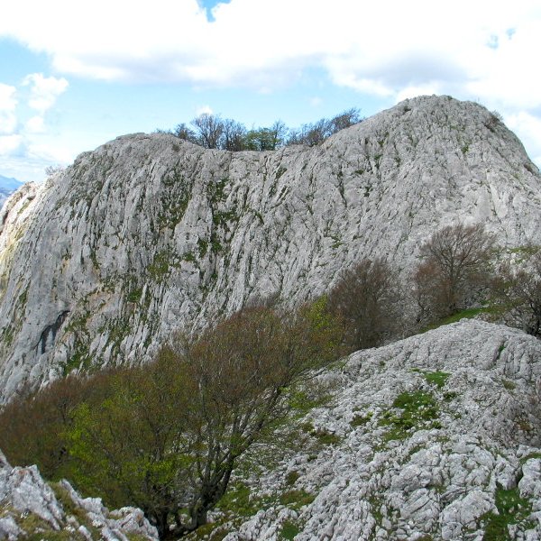 Ekialdeko isurialdea