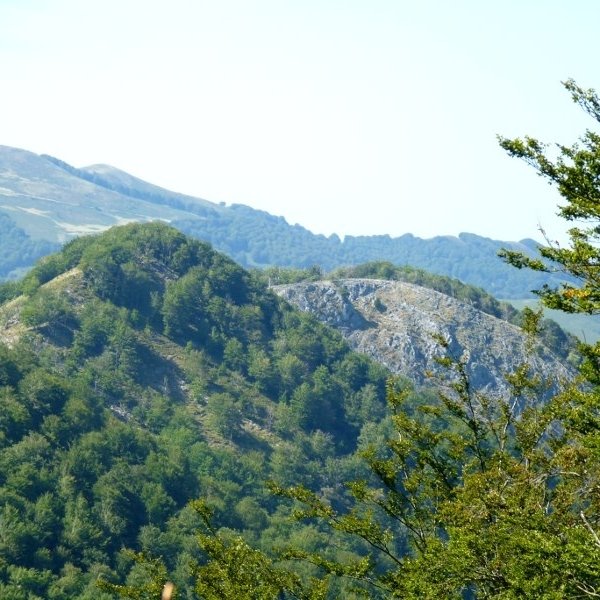 Uztartza eta Artzeleta 