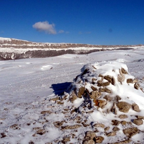 Dorrokotekako gailurra