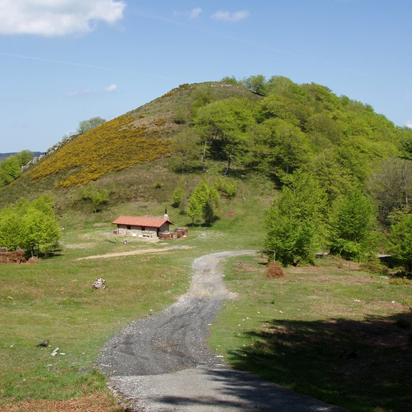 Labeagako borda eta gaina