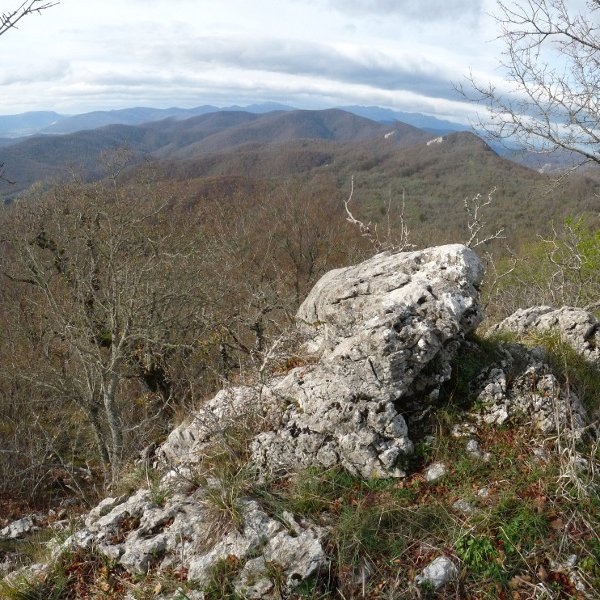 Gainolarriko gailurra. Serlo Gaina hondoan ikusgai