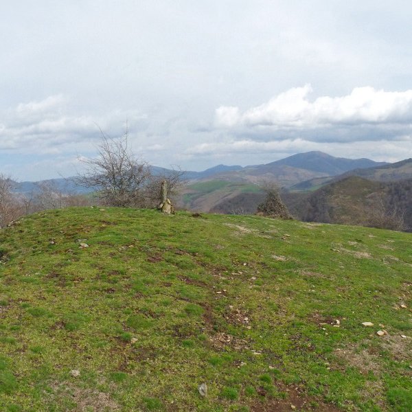 Xaguxelaiko gailurra