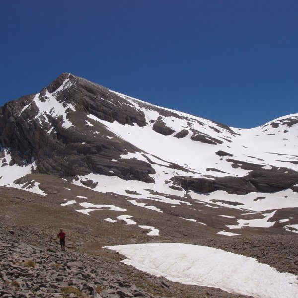 Cotiellako malda elurrez