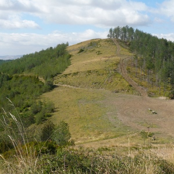 Irotzalde, iparraldetik