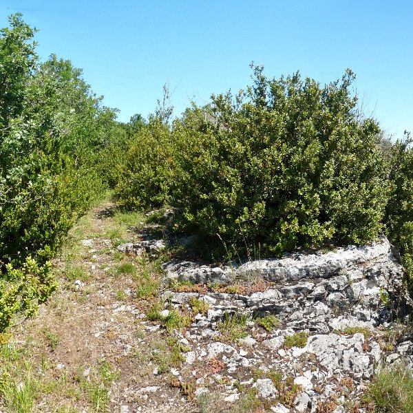 Talaia harritsu bat, paisaia zabalak miresteko egina dirudiena