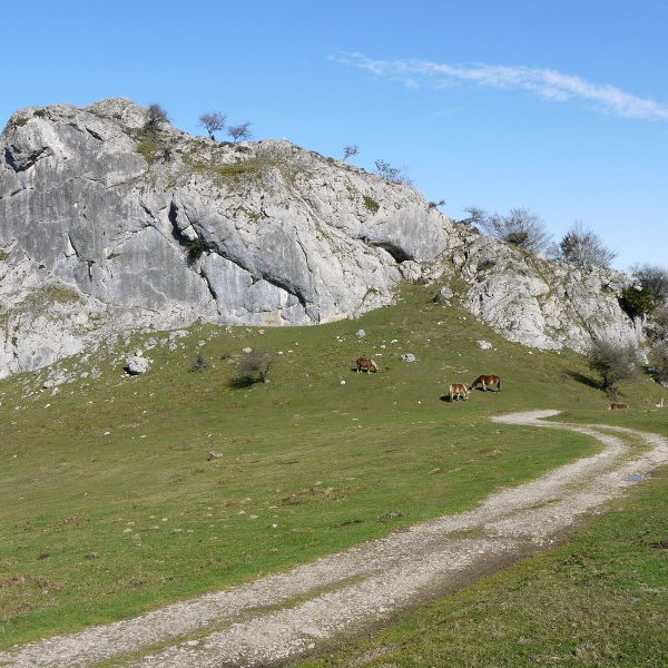 7: Garagartzako haitza