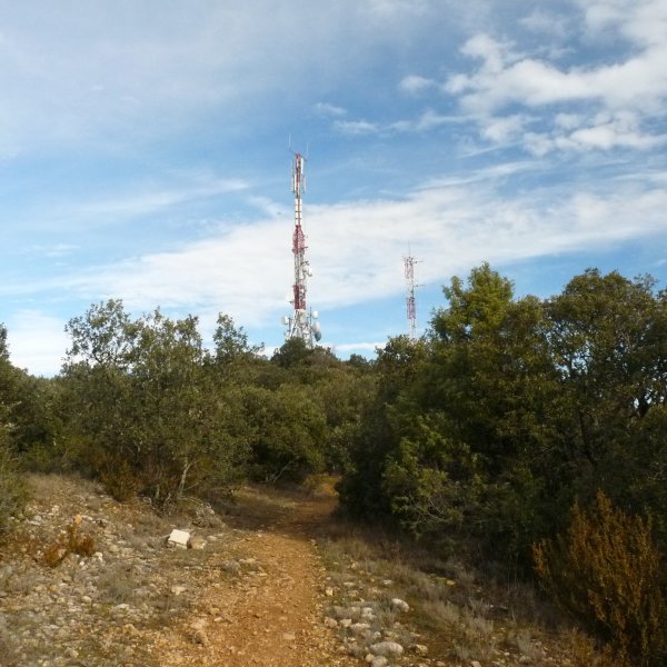 Belastegiko gailurra