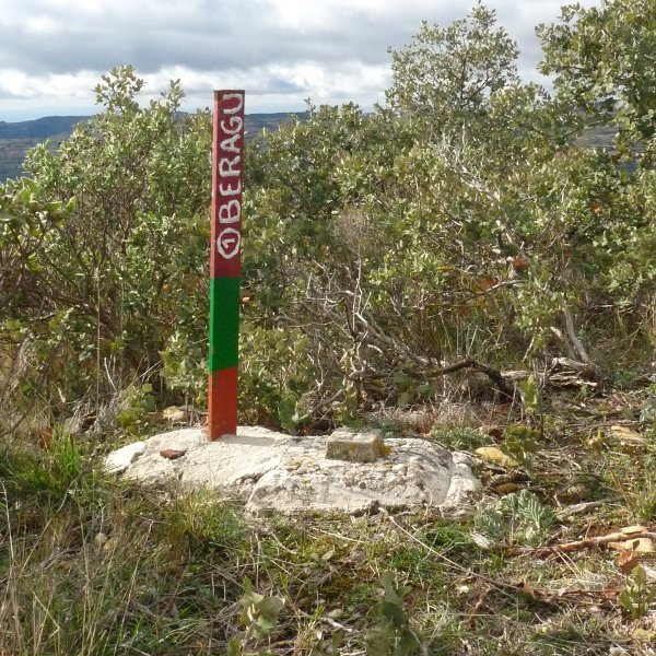 Beraguko gailurreko buzoia