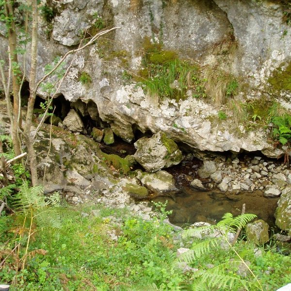 Berragertzea iturburua