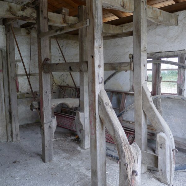 Perratokia Perratokia