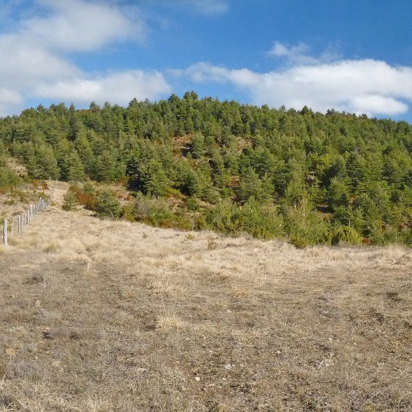 Landeta/Valdefuesa, hegoaldeko lepotik