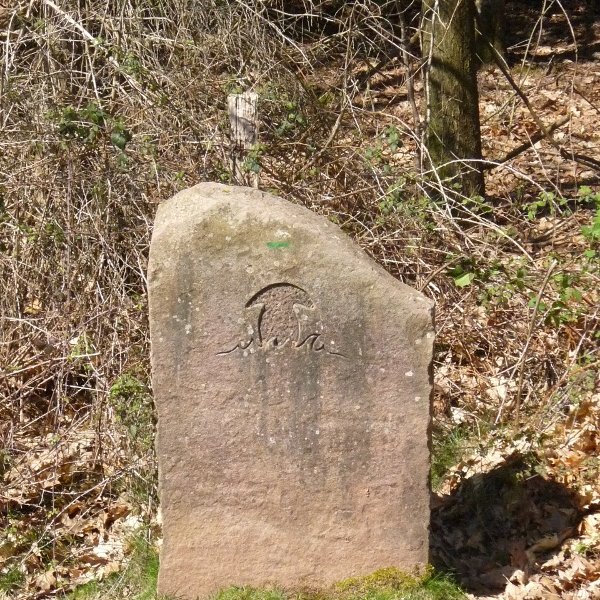 Onddo bidearen adierazgarria