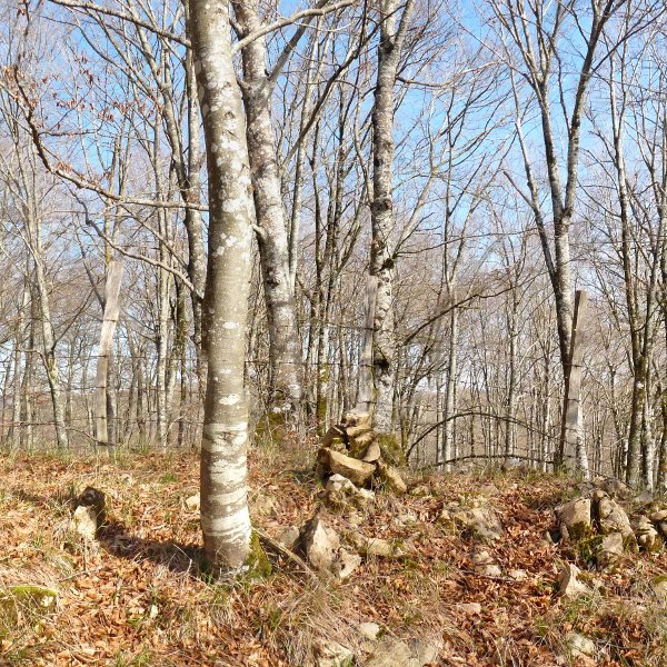 Otsopasajeko gailurra