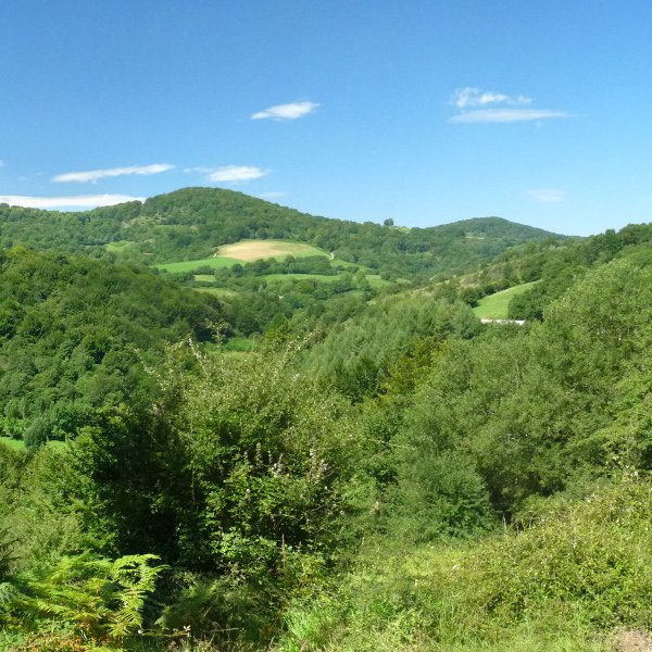 Uitzi inguruko mendiak (Mergelu) Basakaiztik