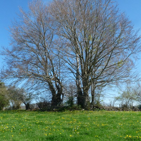 Iturrondoko gailurra