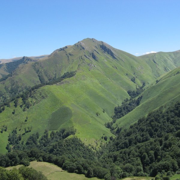 Errozate, Orion basotik