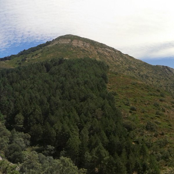 Grudo mendebaldeko bizkarretik