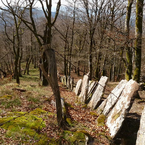 Bertizko muga, Iñarmeakako gailurrean