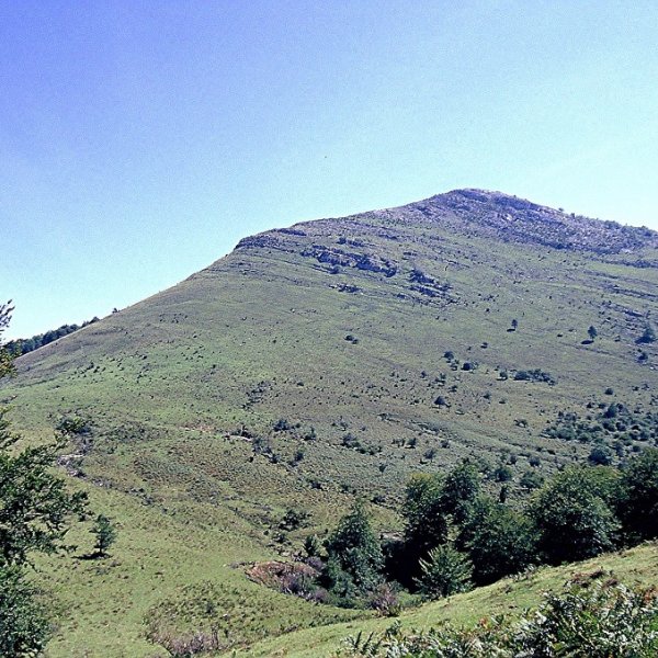 Etxekortea, Txabolatik