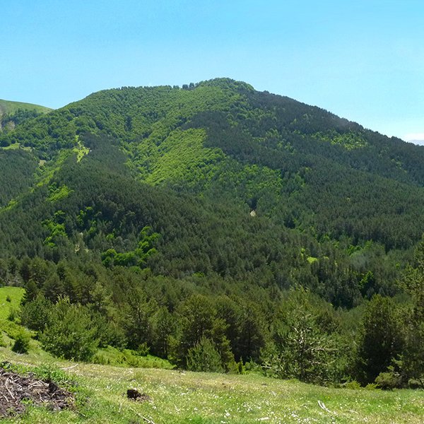 Goienburu-Burgi mendebaldetik
