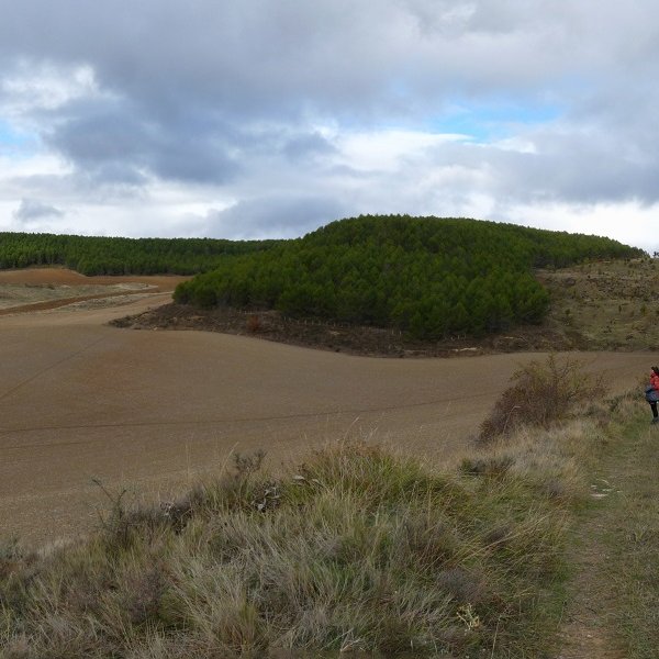 Gailurra, Gazolatz herriko bidetik