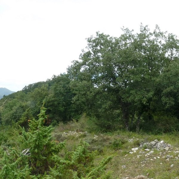 743 kota, gailurtzat eman genuena