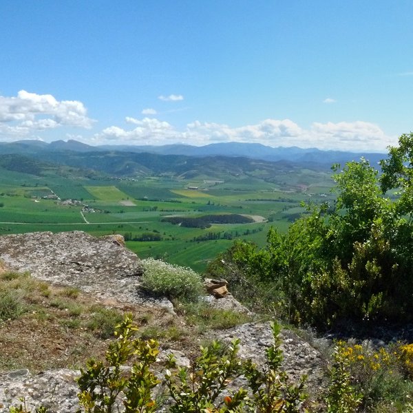 Elutsmendiko gailurra