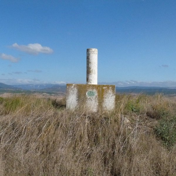 Penablancaco gailurra