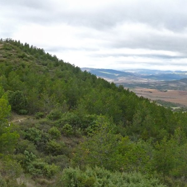 Gazteluzar Larrabeltzetik