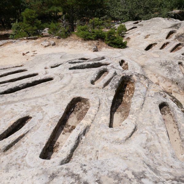 Nekropolia Nekropolia