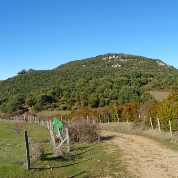 Andaradia, Jaitzeko bidetik