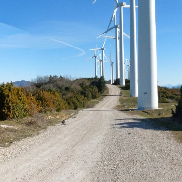 Karbatokiko haizerrotak