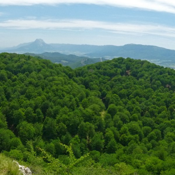 Aizkaia eta Musarrako haitzak