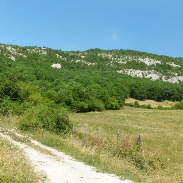 Labako malkarrak Arruazuko bidetik