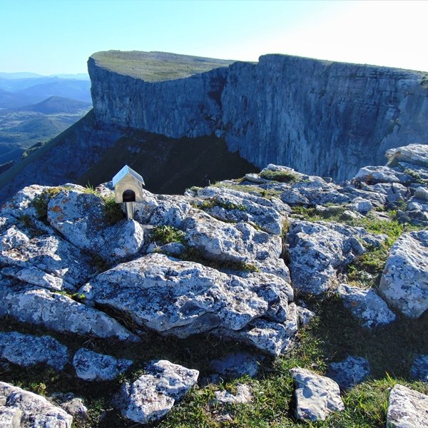 Buzoia. Atzean, Eskutxi