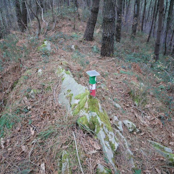 Txartelontzi berria, Bordatxo