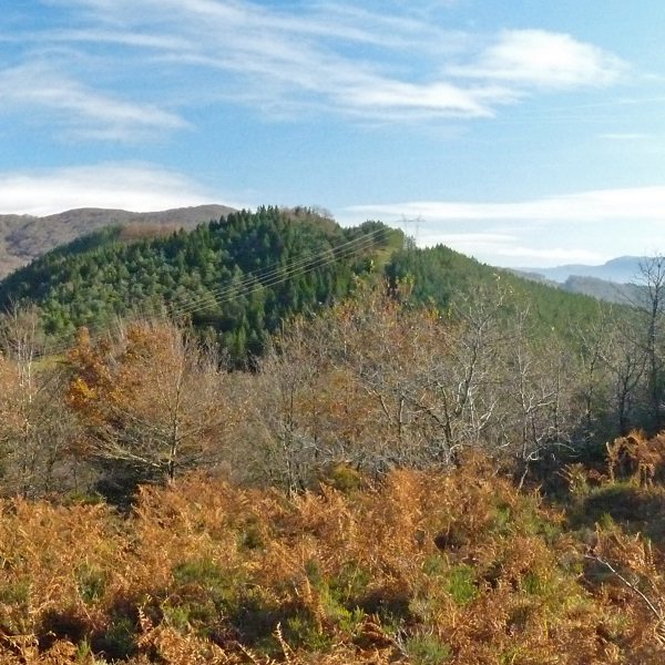 Larrazkondoko soslai oihantsua Gazpidetik