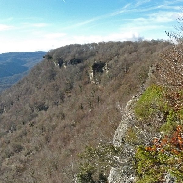 Aitzandiko mallkarrak ekialdetik