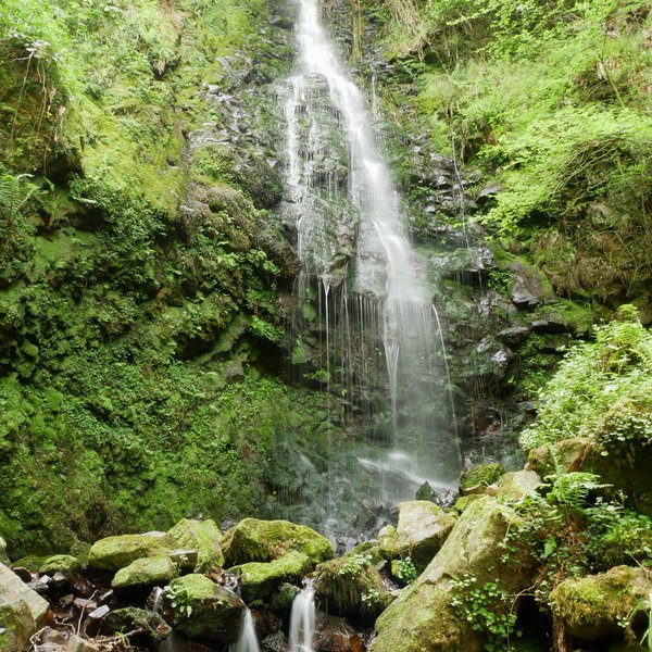 Belaustegi ur-jauzia