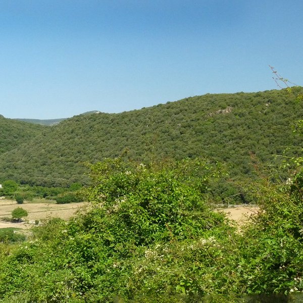 Koskotia eta Bisaurreta, hegoaldetik