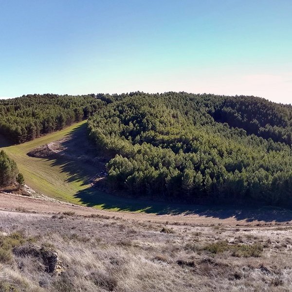 Planilla, mendebaltetik ikusta