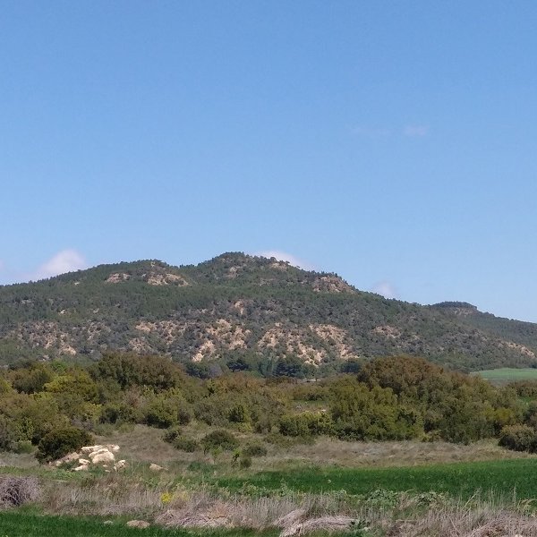 Kenelutxeak, hegoaldetik