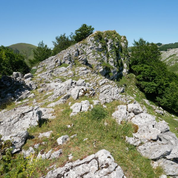 Arriolatz tontorra, IEtik