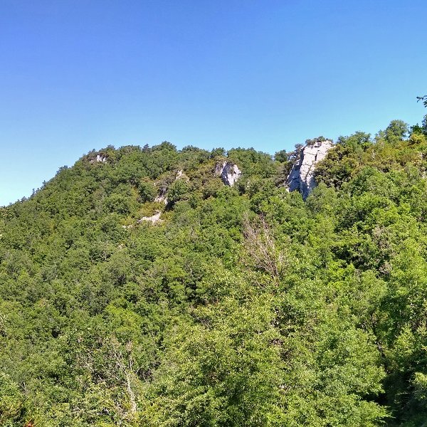 Muskildoia Igariko bidetik