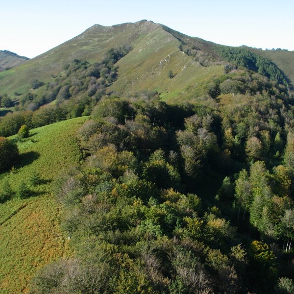 Oltzorrotzetik ikusita