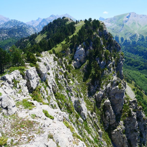 Lapazarra mendebaldeko bizkarretik