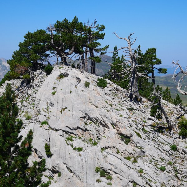 Puntal de Abajo de Ukerdi tontorra