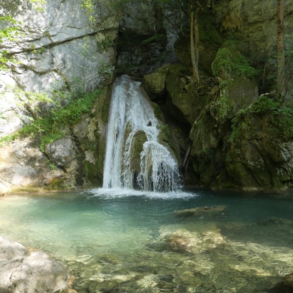 Belabartze ur-jauzia